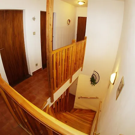 V Horách
